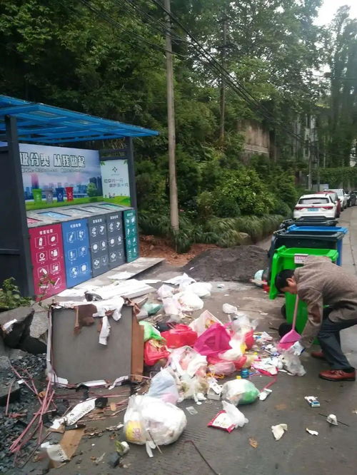 桐庐城区生活小区垃圾分类现状与城市生活垃圾经营服务探析