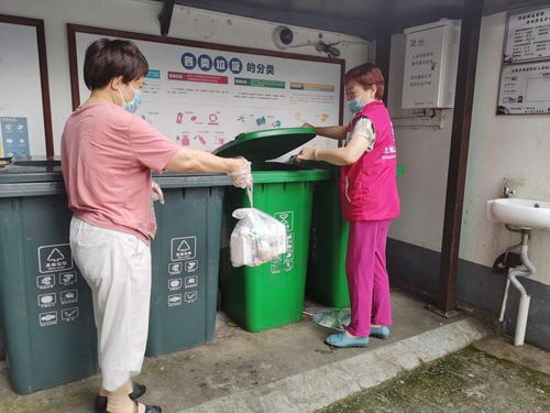 垃圾分类“十百千”行动 让城市更文明，生活垃圾经营服务再升级