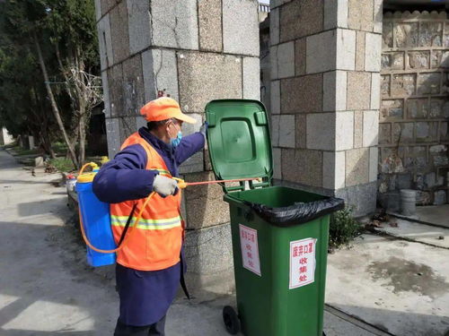 赞！巢湖市农村生活垃圾治理再夺魁首，城市生活垃圾经营服务提质升级