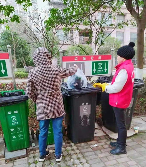 探访长沙市生活垃圾分类示范街道 城市生活垃圾精准治理新样本